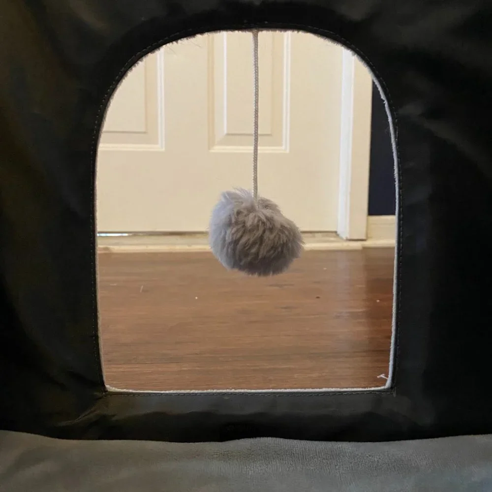 Collapsible Cat Cube Bed